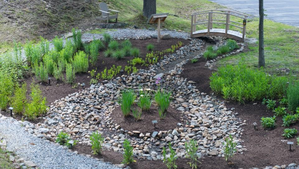 比德福德校园里有绿色植物、岩石和桥梁的雨花园